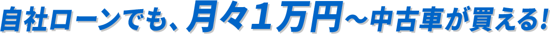 自社ローンでも、月々1万円~中古車が買える!