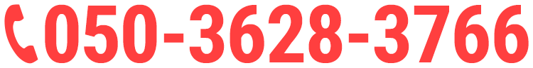 050-3628-3766