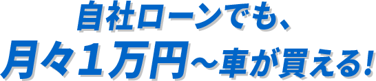 自社ローンでも、月々1万円~中古車が買える!